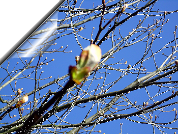 Frühling